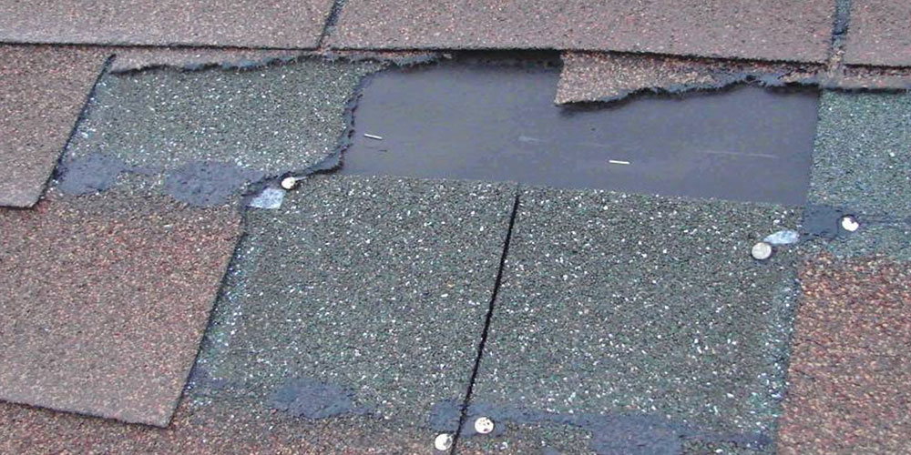 Texas Stag Roofing Solutions storm damage repair company