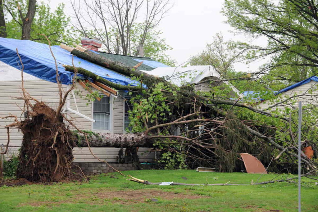 storm damage repair in Houston