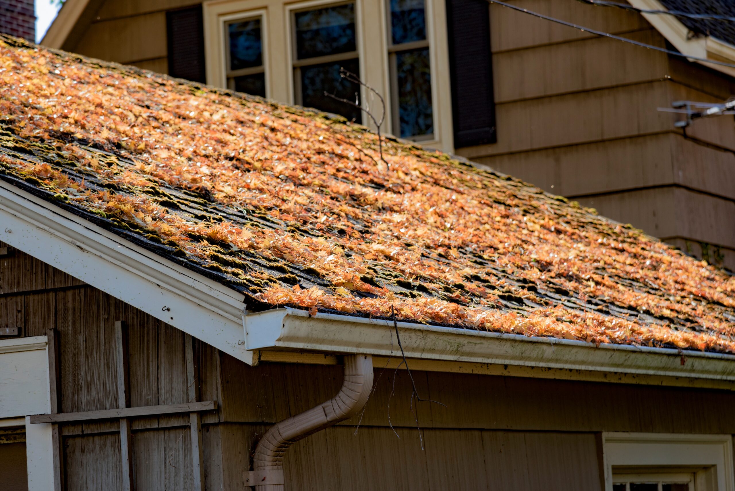 spring roof problems, spring roof damage, spring weather damage, Spring