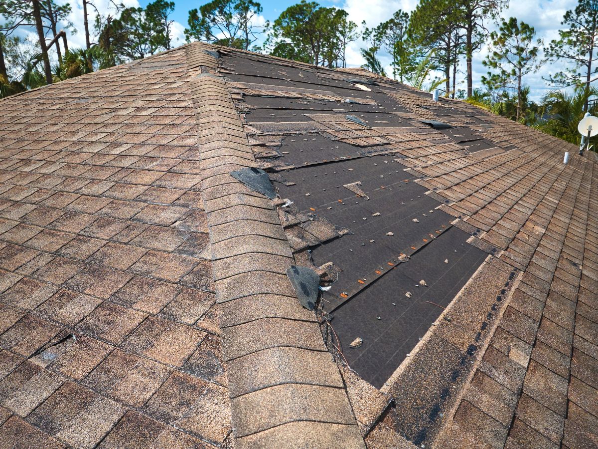 Roof damage requiring missing shingles repair service