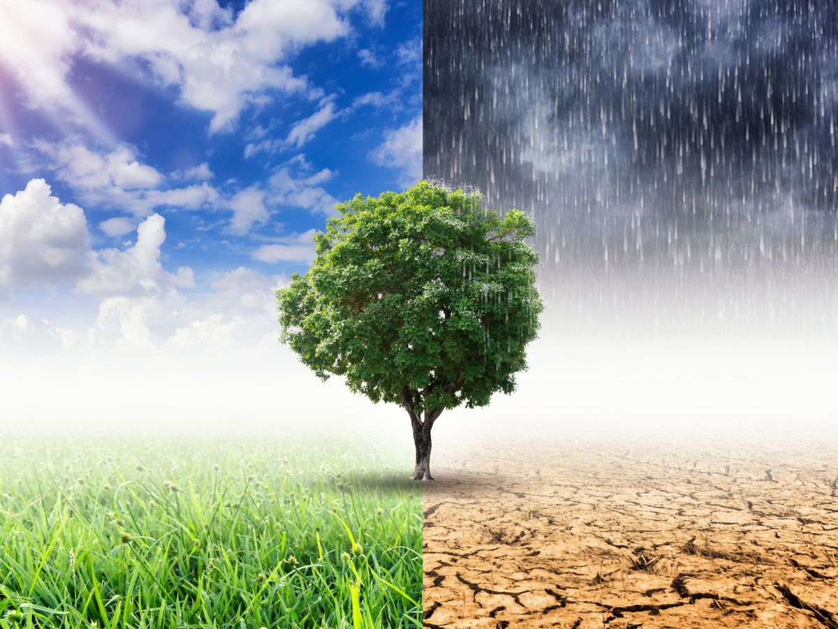 Weather effects increasing roof replacement needs