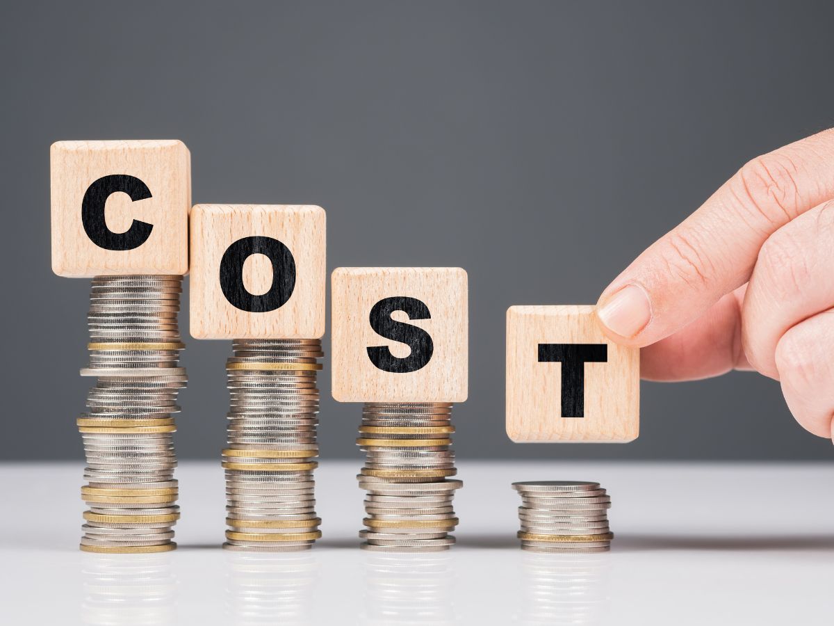 Roof maintenance planning cost